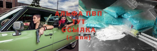 мдпв Гусь-Хрустальный