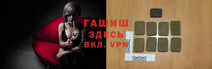 PSILOCYBIN Гусиноозёрск