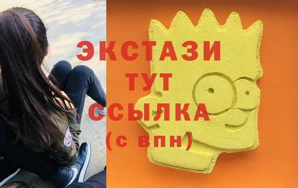 экстази Гусев