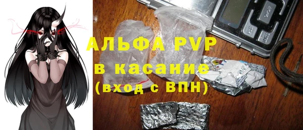 PSILOCYBIN Гусиноозёрск
