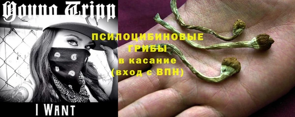 PSILOCYBIN Гусиноозёрск