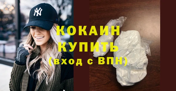 мдпв Гусь-Хрустальный