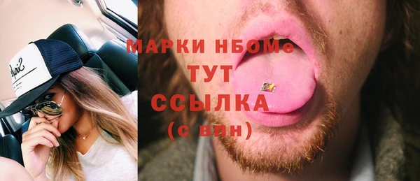 мдпв Гусь-Хрустальный
